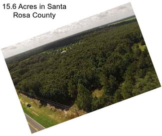 15.6 Acres in Santa Rosa County