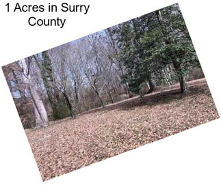 1 Acres in Surry County