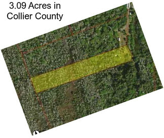 3.09 Acres in Collier County