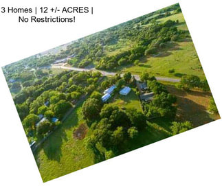 3 Homes | 12 +/- ACRES | No Restrictions!