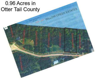 0.96 Acres in Otter Tail County