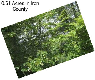 0.61 Acres in Iron County