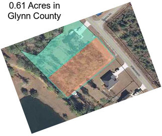 0.61 Acres in Glynn County