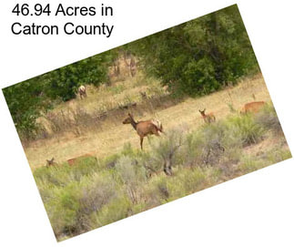 46.94 Acres in Catron County
