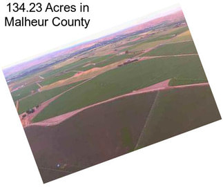 134.23 Acres in Malheur County