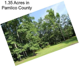 1.35 Acres in Pamlico County