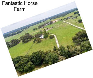 Fantastic Horse Farm