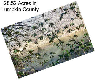 28.52 Acres in Lumpkin County
