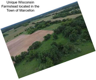 Unique Wisconsin Farmstead located in the Town of Marcellon