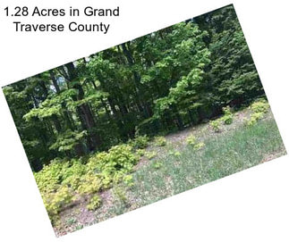 1.28 Acres in Grand Traverse County