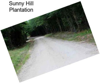 Sunny Hill Plantation