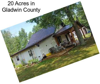 20 Acres in Gladwin County