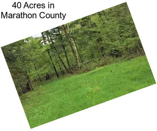 40 Acres in Marathon County