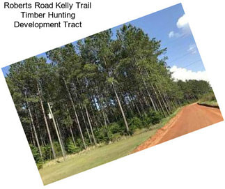 Roberts Road Kelly Trail Timber Hunting Development Tract