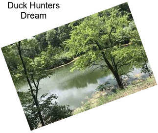 Duck Hunters Dream