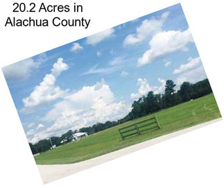20.2 Acres in Alachua County
