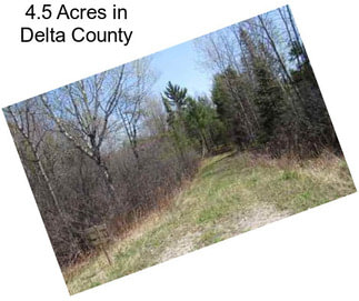 4.5 Acres in Delta County