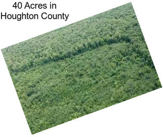 40 Acres in Houghton County