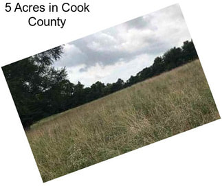 5 Acres in Cook County