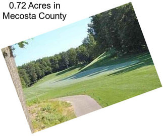 0.72 Acres in Mecosta County