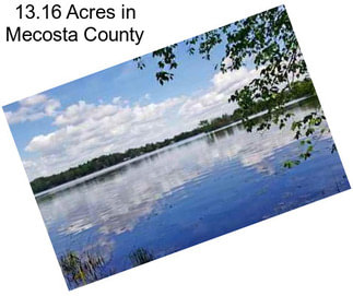 13.16 Acres in Mecosta County