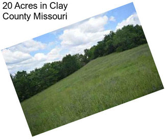 20 Acres in Clay County Missouri