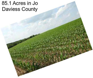 85.1 Acres in Jo Daviess County