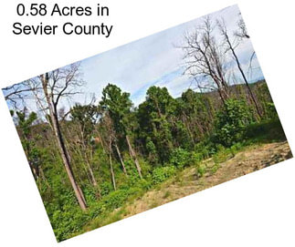 0.58 Acres in Sevier County