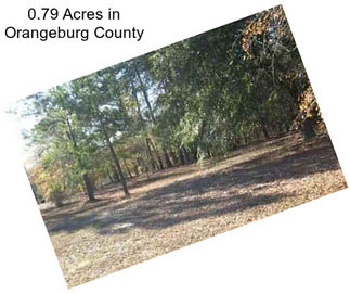 0.79 Acres in Orangeburg County