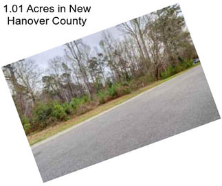 1.01 Acres in New Hanover County