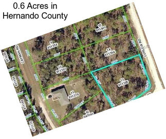 0.6 Acres in Hernando County