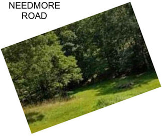 NEEDMORE ROAD