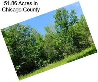 51.86 Acres in Chisago County