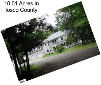 10.01 Acres in Iosco County