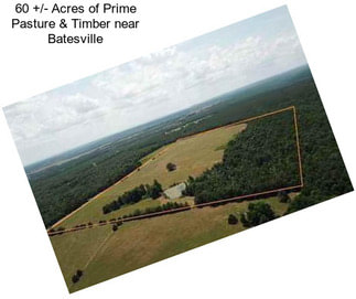 60 +/- Acres of Prime Pasture & Timber near Batesville