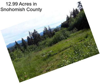 12.99 Acres in Snohomish County