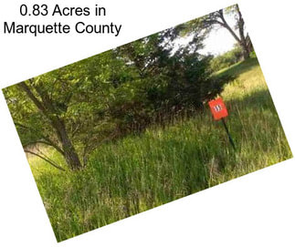 0.83 Acres in Marquette County