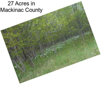 27 Acres in Mackinac County