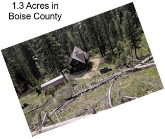 1.3 Acres in Boise County