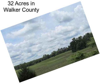 32 Acres in Walker County