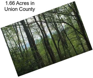 1.66 Acres in Union County
