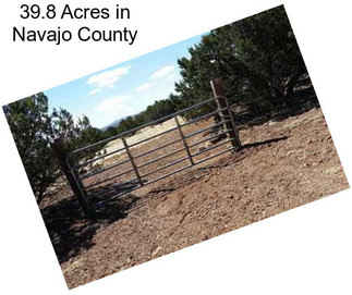 39.8 Acres in Navajo County