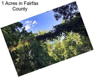 1 Acres in Fairfax County