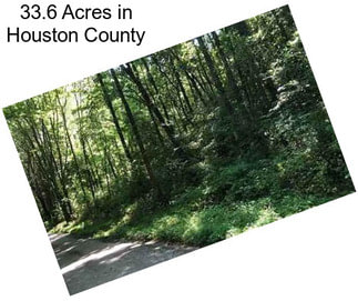 33.6 Acres in Houston County