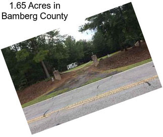 1.65 Acres in Bamberg County
