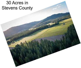 30 Acres in Stevens County