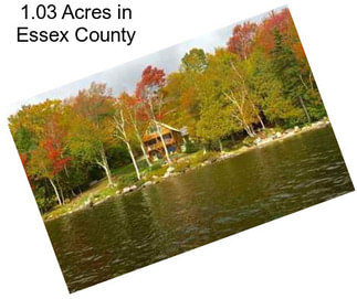 1.03 Acres in Essex County