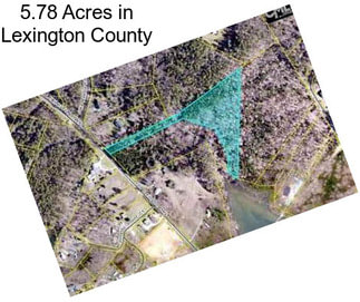 5.78 Acres in Lexington County