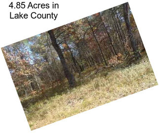 4.85 Acres in Lake County