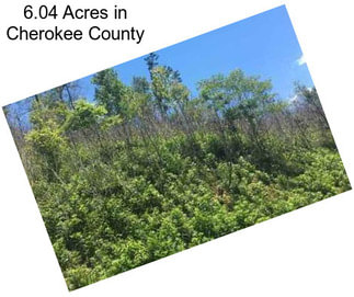 6.04 Acres in Cherokee County